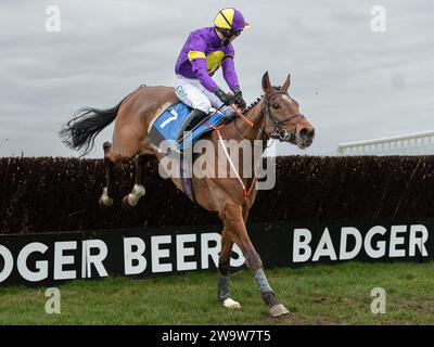 King Orry, guidato da Sean Houlihan e allenato da Susan Gardner, corre a Wincanton sopra le recinzioni, il 10 marzo 2022 Foto Stock