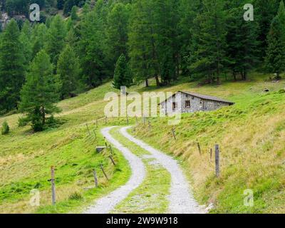 Fienili in pietra nella Roseg Valley, Alpine St Moritz, Svizzera Foto Stock