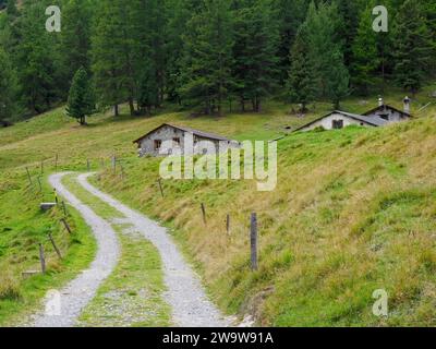 Fienili in pietra nella Roseg Valley, Alpine St Moritz, Svizzera Foto Stock