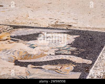 Casa di Dioniso, pavimento a mosaico, sito archeologico di Delo, isola di Delo, Cicladi, Grecia Foto Stock