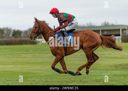 Dance with Fire, guidato da Tom Bellamy e addestrato da Alan King, corre sopra ostacoli a Wincanton, il 10 marzo 2022 Foto Stock