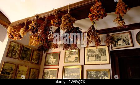 Museo del miele in una città di Navarra Foto Stock