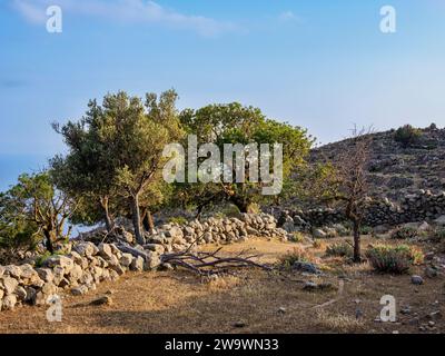 Rovine di antichi insediamenti vicino al villaggio di Nikia, isola di Nisyros, Dodecaneso, Grecia Foto Stock