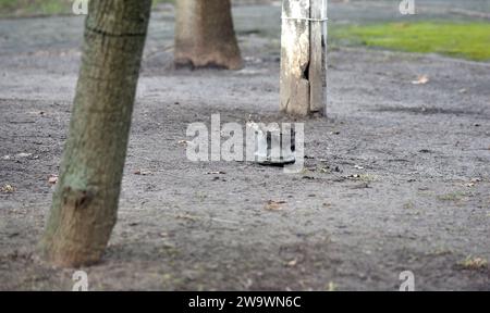 Non esclusiva: KIEV, UCRAINA - 29 DICEMBRE 2023 - Un frammento di un missile russo, Kiev, capitale dell'Ucraina Foto Stock