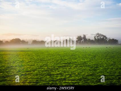 Panorama delle Lowlands scozzesi tra Dundee e Perth Foto Stock