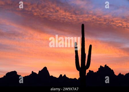 Alba sulle Kofa Mountains, Arizona Foto Stock