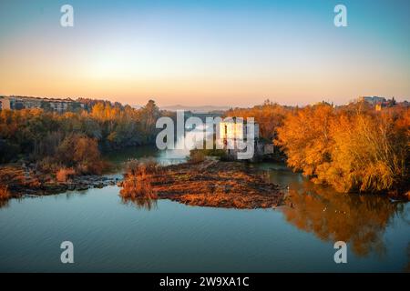 Sotos de la Albolafia sul fiume Guadalquivir all'alba a Cordoba, Andalusia, Spagna con il Molino de Don Tello al centro Foto Stock