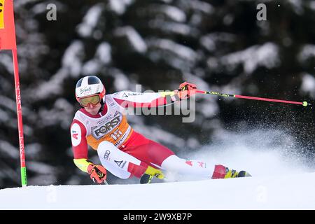 Stefan Brennsteiner (AUT) gareggia durante la Coppa del mondo di sci alpino Audi FIS, MenÕs Giant Slalom gara sulla pista Gran Risa, alta Badia il 17 dicembre 20 Foto Stock