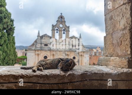 Una foto di un gatto che dorme di fronte al Monastero di Arkadi. Foto Stock