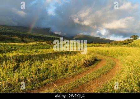 Una strada di campagna si snoda attraverso i lussureggianti campi lungo la Piilani Highway a Maui, che conduce verso un pendio vulcanico sotto un cielo abbellito da un arcobaleno Foto Stock