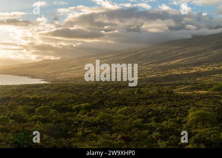 Gli ultimi raggi di un tramonto di Maui bagnano il paesaggio nella luce dorata lungo l'autostrada Piilani, accentuando la splendida topografia e il tranquillo oceano Foto Stock