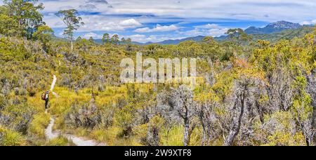 Panorama della pianura di Loddon con escursionista solitario nelle giornate di sole sul sentiero Frenchmans Cap, il Franklin-Gordon Wild Rivers National Park, Tasmania, Australia Foto Stock