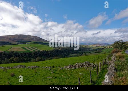 Guardando la Valle di Glen Clova nelle Angus Glens vicino a Kirriemuir, in un luminoso pomeriggio di settembre. Foto Stock