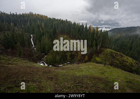 Cascate del fiume Elk in Idaho Foto Stock