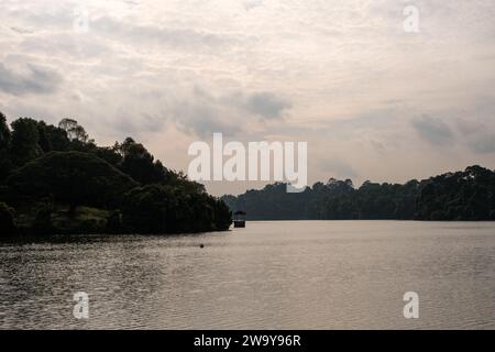 Il Reservoir Horizon è circondato da una vegetazione lussureggiante Foto Stock