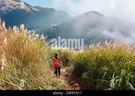 Trekking attraverso l'erba argentata cinese nel Parco Nazionale di Yangmingshan, Taipei, Taiwan Foto Stock