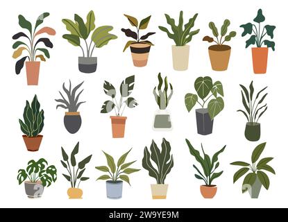 Set di diversi vettori di piante in vaso per interni Illustrazione Vettoriale