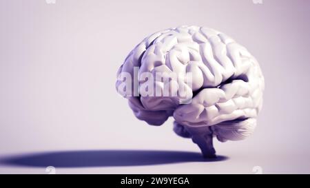 Cervello umano su sfondo di colore morbido. Spazio di copia a destra. Illustrazione 3D. Foto Stock