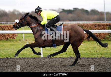 Foto del file datata 28-02-2023 di Marie's Rock, le cui connessioni stanno anticipando una resa dei conti di successo con Bob Olinger quando la loro stella mare difende il suo titolo di hurdle Dornan Engineering Relkeel a Cheltenham il giorno di Capodanno. Data di emissione: Domenica 31 dicembre 2023. Foto Stock