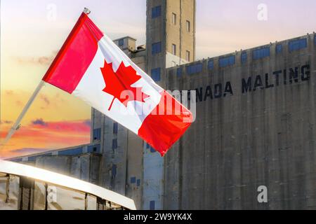 Toronto, Ontario, Canada-22 giugno 2016: Bandiera del Canada davanti all'edificio alto della Malting Company. Canada Malting Silos è uno dei due silos rimanenti in Foto Stock