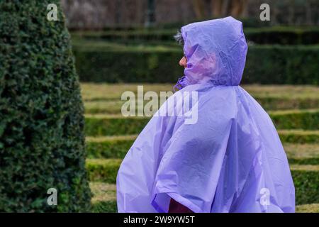 Bruxelles, Belgio. 31 dicembre 2023. La gente cerca ancora di godersi un'escursione: I resti dell'ultima tempesta scatenano i giardini botanici di Bruxelles con il tempo piovoso. Crediti: Guy Bell/Alamy Live News Foto Stock