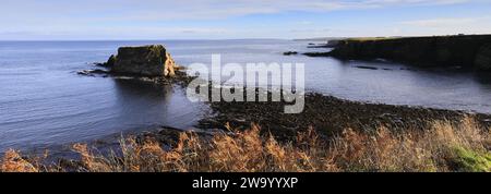 Vista sulle rocce di Cleet of Brough, il villaggio di Brough, Caithness, Scozia, Regno Unito Foto Stock