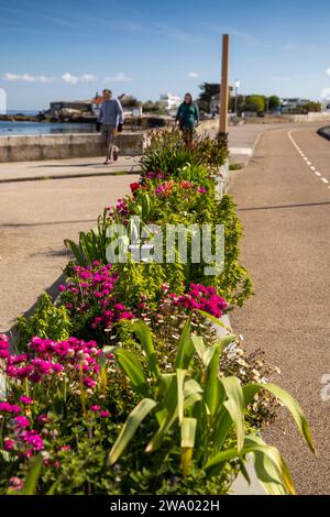 Irlanda, Dublino, Sandycove, lungomare, piantatrice floreale accanto alla pista ciclabile Foto Stock