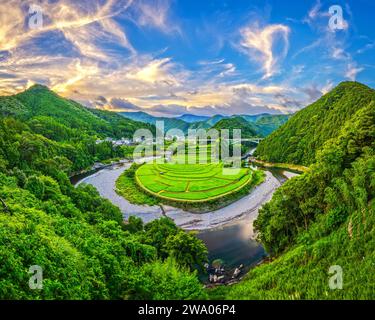 Terrazza di riso Aragijima a Wakayama, Giappone. Foto Stock