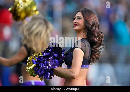 Baltimora, Stati Uniti. 31 dicembre 2023. Una cheerleader dei Baltimore Ravens si esibisce contro i Miami Dolphins durante il primo tempo al M&T Bank Stadium di Baltimora, Maryland, domenica 31 dicembre 2023. Foto di David Tulis/UPI credito: UPI/Alamy Live News Foto Stock