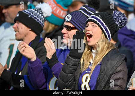 Baltimora, Stati Uniti. 31 dicembre 2023. I tifosi dei Baltimore Ravens fanno il tifo durante la prima metà di una partita contro i Miami Dolphins al M&T Bank Stadium di Baltimora, Maryland, domenica 31 dicembre 2023. Foto di David Tulis/UPI credito: UPI/Alamy Live News Foto Stock