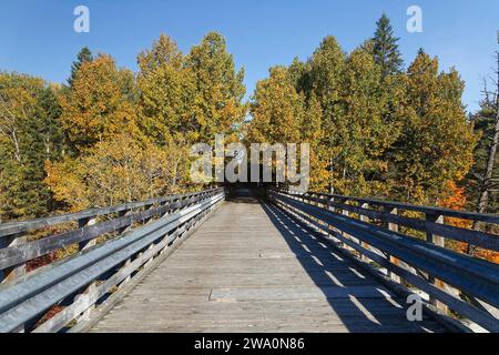 Pista ciclabile sul Trans Canada Trail, provincia di Quebec, Canada, Nord America Foto Stock