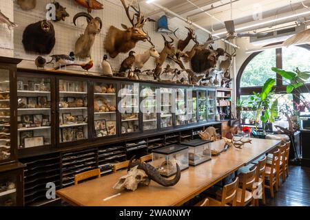 Laboratorio naturalistico di Edna Lawrence presso la Rhode Island School of Design nel centro di Providence Rhode Island Foto Stock