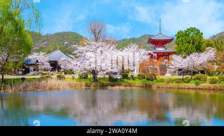 Kyoto, Giappone - marzo 29 2023: Tempio di Daikakuji con splendido giardino di ciliegi in fiore in primavera Foto Stock