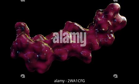 Il rendering 3D illustra il glucagone, un ormone peptidico secreto dalle cellule alfa del pancreas. Foto Stock