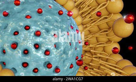 Rivestimento bilayer lipidico per nanoparticelle di silice mesoporosa come supporto o erogazione di nanodtappeti. Rilascio di nanomedicina dal rendering 3d incapsulato con nanocarrier Foto Stock