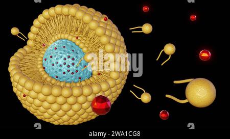 Rivestimento bilayer lipidico per nanoparticelle di silice mesoporosa come supporto o erogazione di nanodtappeti. Rilascio di nanomedicina dal rendering 3d incapsulato con nanocarrier Foto Stock