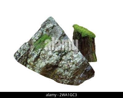pietra bagnata ricoperta di muschio con ceppo di alberi isolato su sfondo bianco Foto Stock