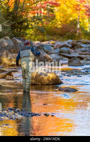 Un uomo che pesca con la mosca su Orbeton Stream in autunno. Madrid Township, Maine. Foto Stock