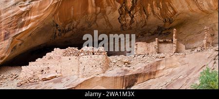 Antiche rovine nella roccia, comb Ridge, Bears Ears National Monument, Utah, USA Foto Stock