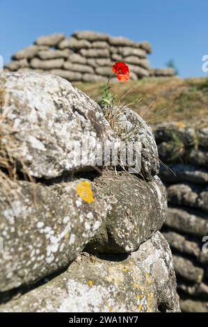 Dixmude est au centre du Westhoek flamand. La viulle est connue pour le role important qu'elle a joue ainsi que sa plaine environnante dans le deroule Foto Stock