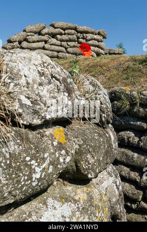 Dixmude est au centre du Westhoek flamand. La viulle est connue pour le role important qu'elle a joue ainsi que sa plaine environnante dans le deroule Foto Stock