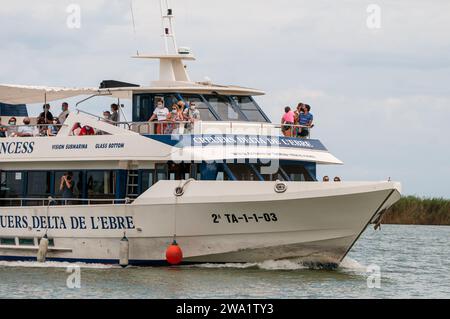 Tour in barca sul fiume, fiume Ebro, Delta dell'Ebro, Catalogna, Spagna Foto Stock