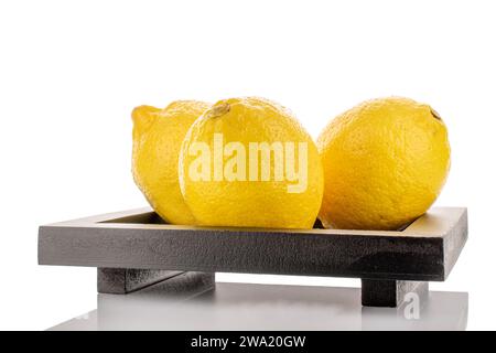 Tre limoni organici di colore giallo brillante su un vassoio di legno nero, macro, isolati su sfondo bianco. Foto Stock