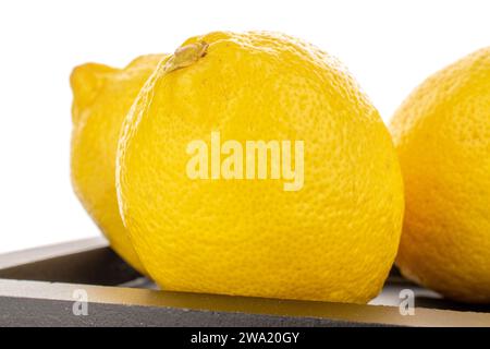 Tre limoni organici di colore giallo brillante su un vassoio di legno nero, macro, isolati su sfondo bianco. Foto Stock