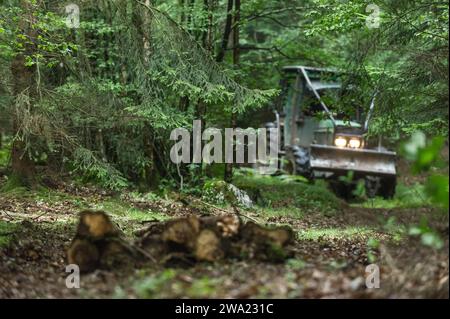 Le debusquage suit le debardage. Il s'agit d'assurer le Transport du bois depuis les senziers vers la Route ou les camions viendront emporter les grum Foto Stock