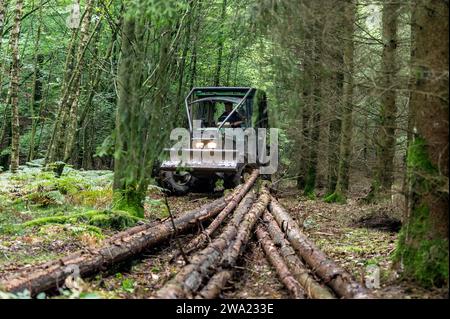 Le debusquage suit le debardage. Il s'agit d'assurer le Transport du bois depuis les senziers vers la Route ou les camions viendront emporter les grum Foto Stock