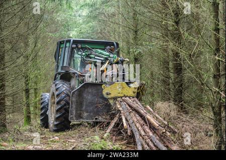 Le debusquage suit le debardage. Il s'agit d'assurer le Transport du bois depuis les senziers vers la Route ou les camions viendront emporter les grum Foto Stock