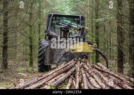 Le debusquage suit le debardage. Il s'agit d'assurer le Transport du bois depuis les senziers vers la Route ou les camions viendront emporter les grum Foto Stock