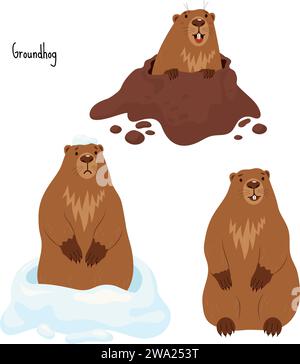 Ricci di raccolta. Animale roditore triste nella neve, la marmotta si erge e guarda fuori dal buco. Simpatici personaggi isolati per il design delle vacanze di Groundhog Day su Fe Illustrazione Vettoriale