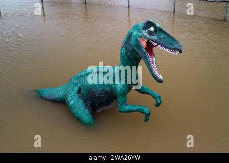 Stourport-on-Severn, Worcestershire, 1 gennaio 2024 - Dennis il dinosauro ha le ginocchia bagnate. - Il livello dell'acqua è salito attraverso Stourport-on-Severn lunedì, quando Storm Henk ha portato gravi avvertimenti di inondazione in gran parte del Regno Unito. Un modello di dinosauro in un campo da minigolf, chiamato Dennis dalla gente del posto che lo usa come misuratore dell'altezza delle inondazioni, è ora Geoffrey la Giraffa è anche "altezza delle spalle" nelle vicinanze. Un modello Zebra e Tiger potevano anche essere visti parzialmente sommersi. La fiera di Treasure Island è ora più isola come prima. Credito: Stop Press Media/Alamy Live News Foto Stock